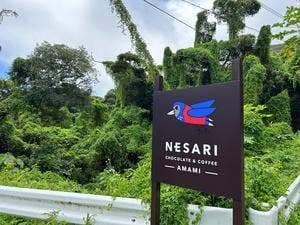 NESARI CHOCOLATE AMAMI