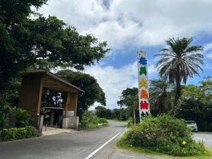 NESARI CHOCOLATE AMAMI