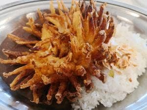 カレーのちから 本店