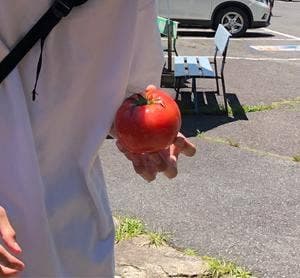 不動滝ひろづき