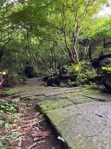 創作料理 いちの川