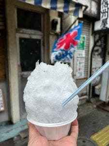 毒島氷室
