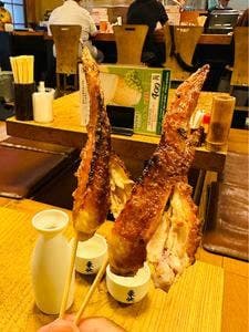 焼鳥 八朔