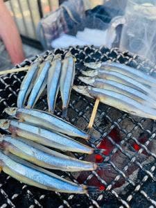 野毛ホルモンビル 出逢い酒場 大夢