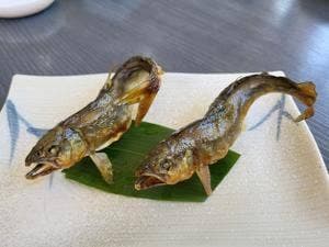 ふなとの里