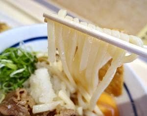鶴丸うどん本舗 天一店