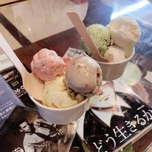 PICARO EIS