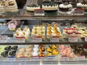 ヴィザヴィ薬院店