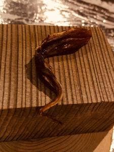 Restaurant Yoshi's High