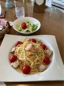 木かげ
