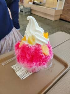 道の駅 ウェーブパークなめりかわ