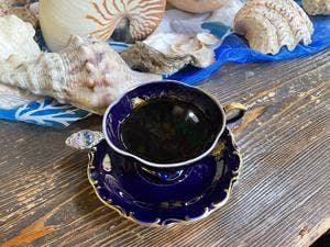 caferi fuji