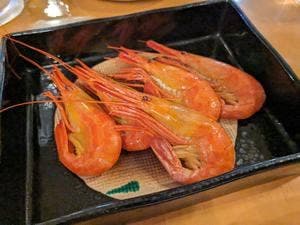 ねむろ お魚食堂