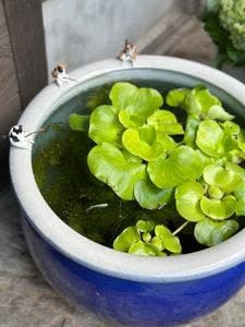 そば処・宿泊 草太郎庵