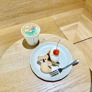 PATHFINDER XNOBU LUCUA大阪店