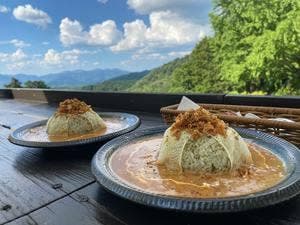 ほんたき寺巣