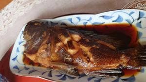 シーグルメ・ドーム