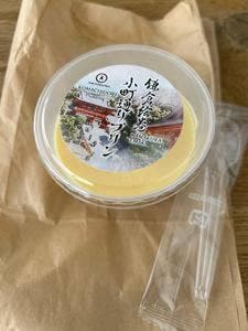 craft padding plant 鎌倉店