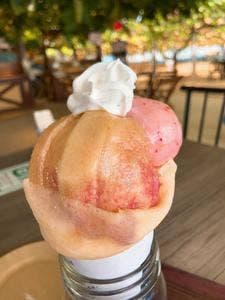 コンタン