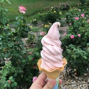 バラの城 フローラ