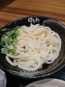 はなまるうどん プレナ幕張店