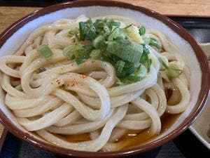 うつ海うどん