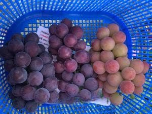 ハーブワールドAKITA レストラン