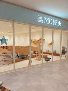 CatCafeMOFFイオンモール豊川店