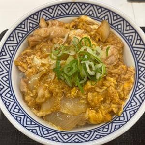 吉野家 32号線高知高須東店