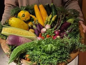 レフェルヴェソンス