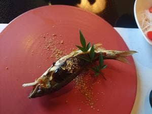 天然鮎料理 鵜匠の家 岩佐