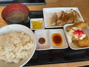 餃子食堂 つるかめ