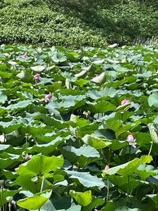 九段食堂