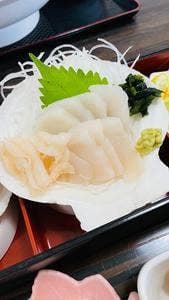 トラベルプラザサンシャイン