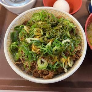 すき家 南国BP店