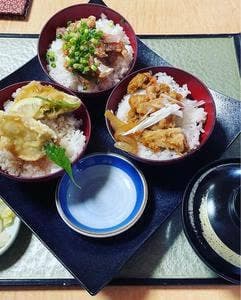 藤よし