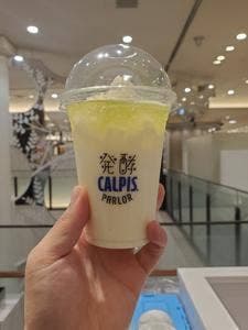 発酵 CALPIS PARLOR