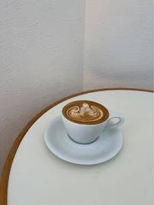 Swallow