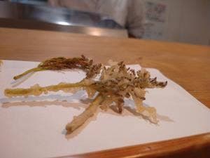 月の庭