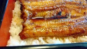 うなぎと日本料理 今助