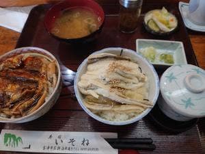 寿司・活魚料理 いそね