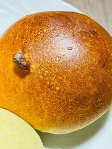 ピアチェーレ ノーチェ