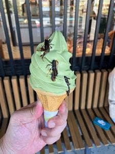 雪国観光センター 魚野の里