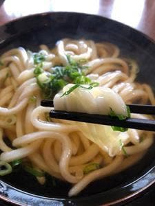 後楽園うどん