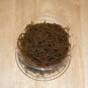 分 根津松本 鈴