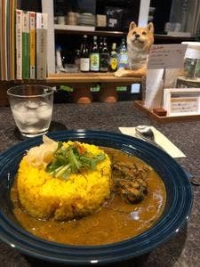 curryshopLaboratory