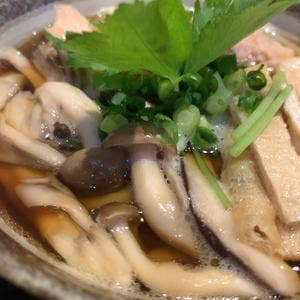 ゆ乃うどん
