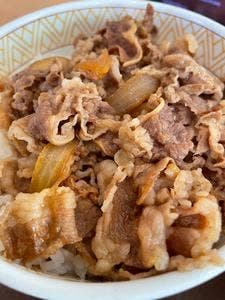 すき家 宇都宮平松店