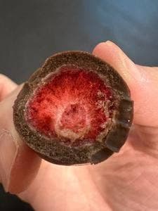 六花亭 帯広空港店