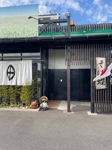 そば蝶